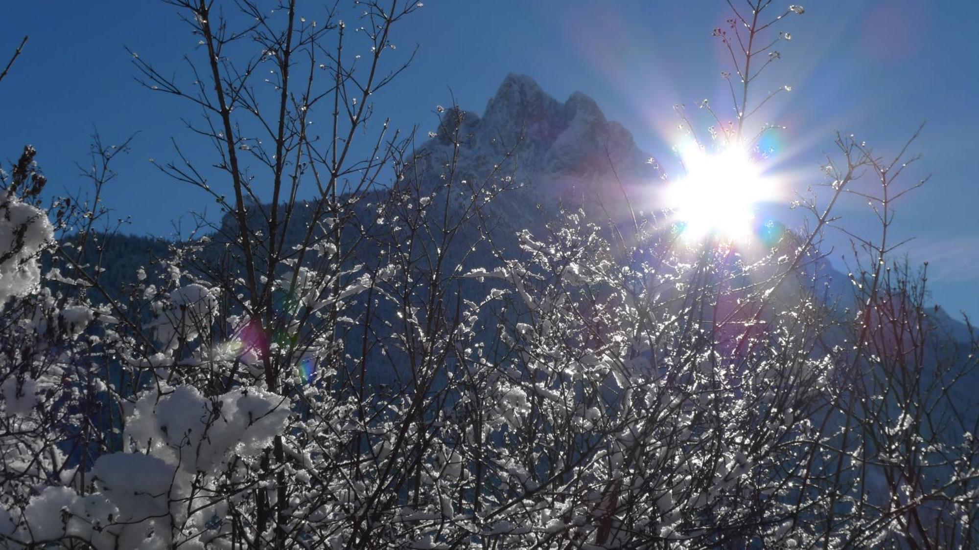 Villa Gemmy Pozza di Fassa Eksteriør billede