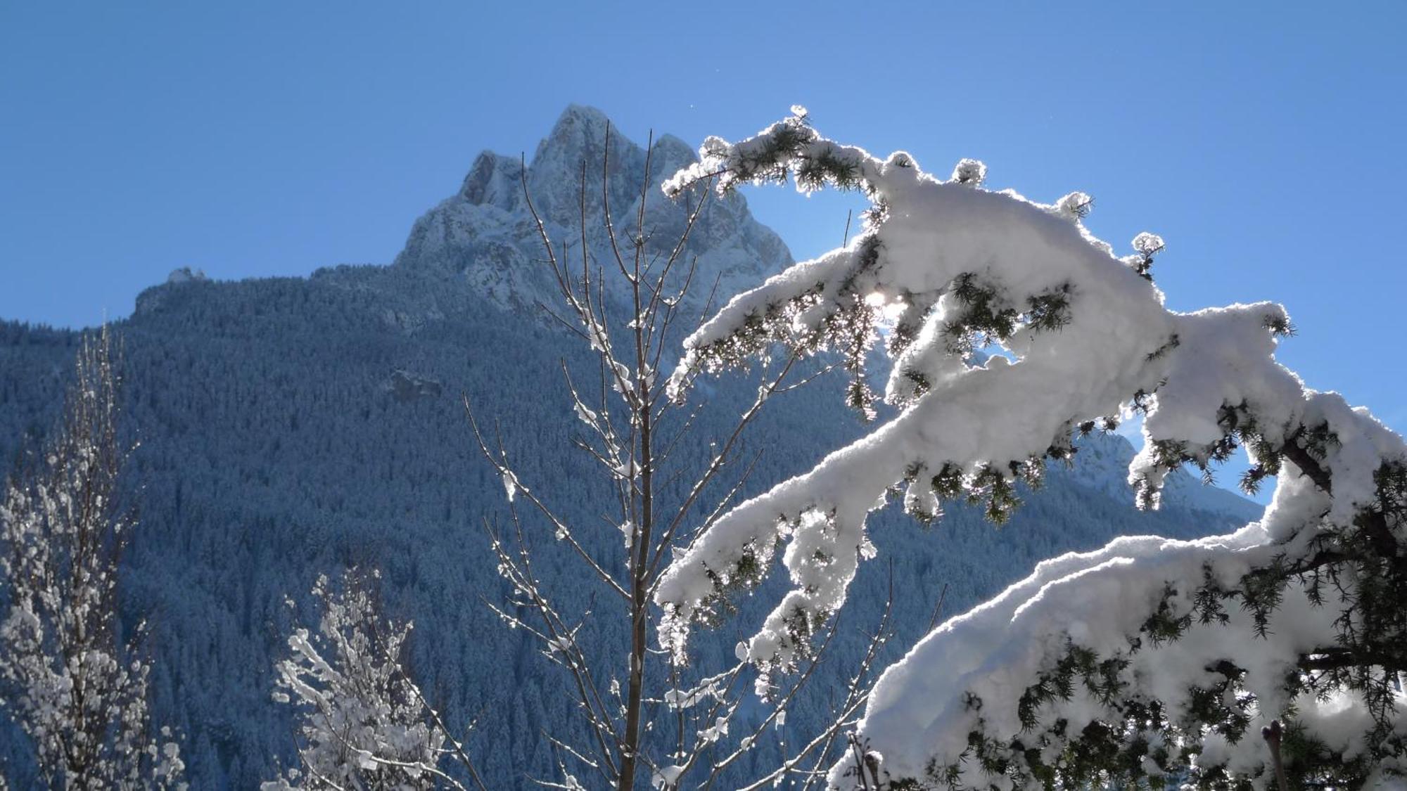 Villa Gemmy Pozza di Fassa Eksteriør billede